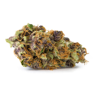 SAN RAFAEL 71 TANGERINE DREAM (S) DRIED - 1G
