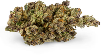 SAN RAFAEL 71 PURPLE CHITRAL (IND) DRIED - 3.5G