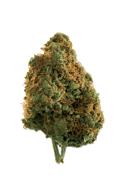 EDISON CITY LIGHTS (H) DRIED - 3.5G