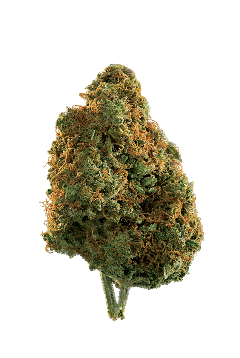 EDISON CITY LIGHTS (H) DRIED - 3.5G