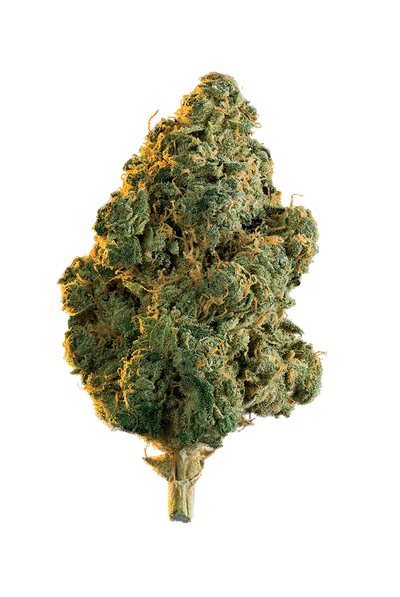 EDISON LOLA MONTES (IND) DRIED - 3.5G