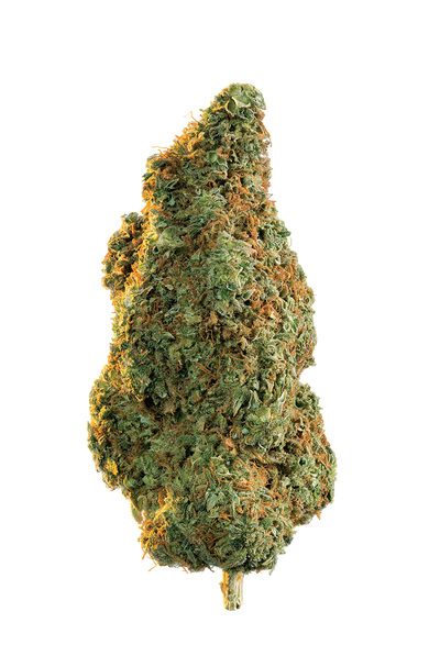 EDISON CASA BLANCA (IND) DRIED - 3.5G