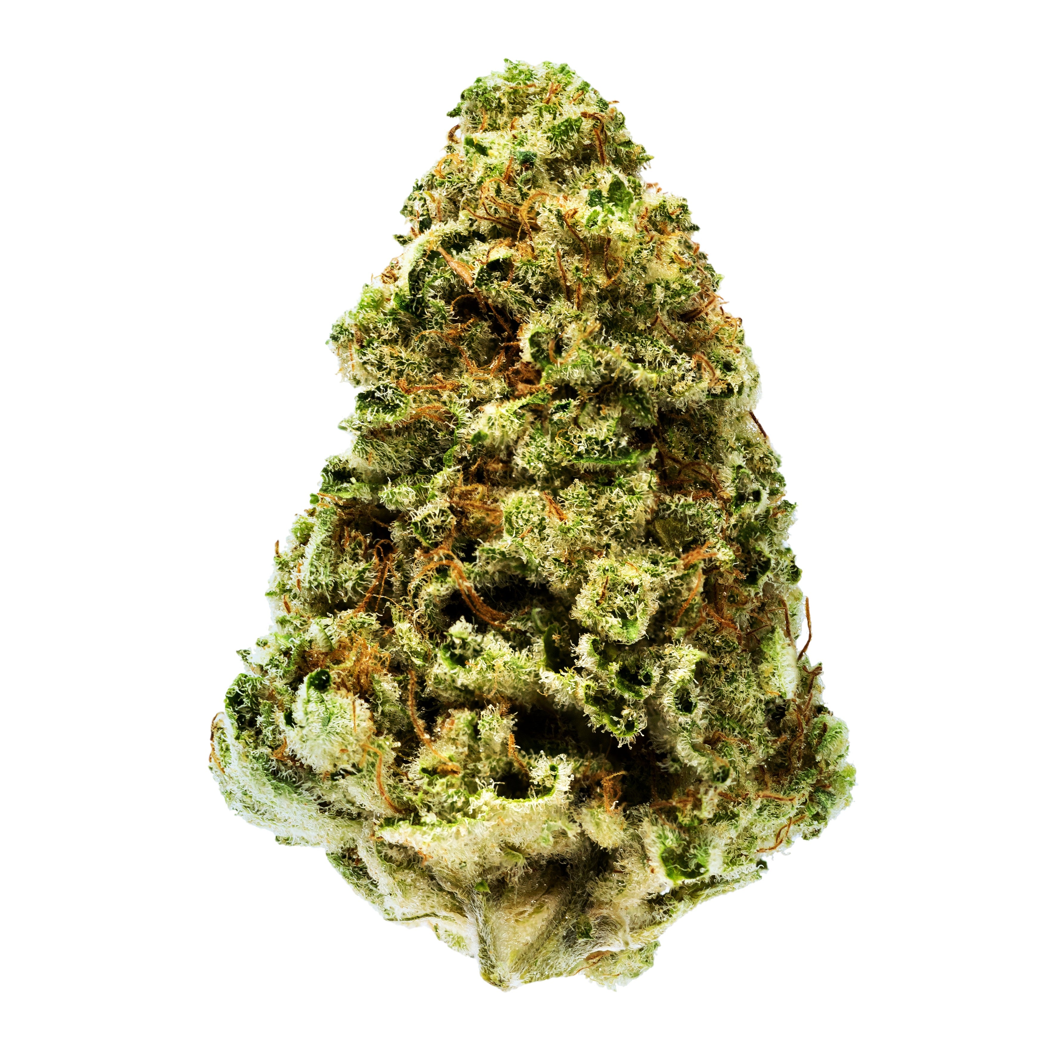 7ACRES JEAN GUY (H) DRIED - 1G