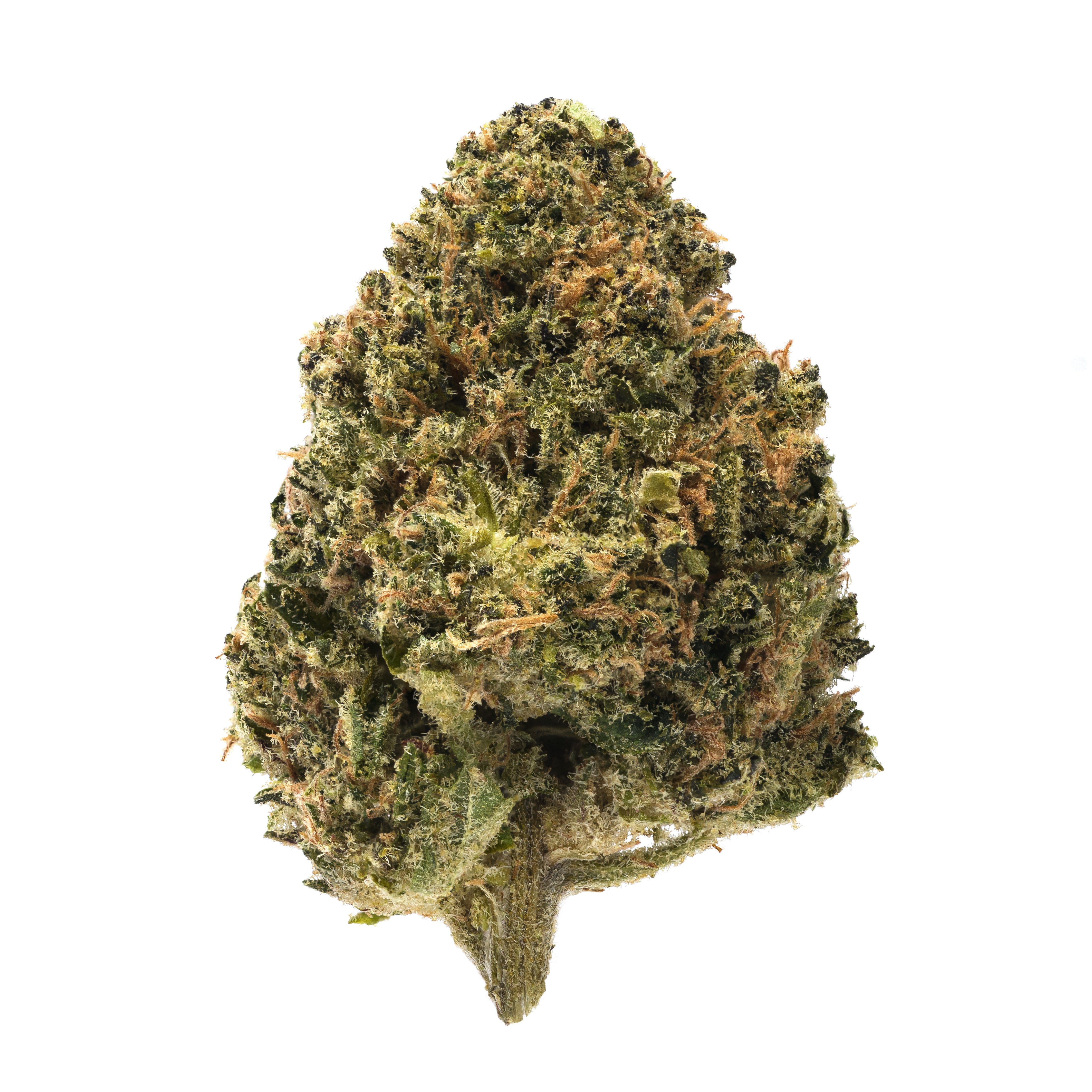 7ACRES WAPPA (H) DRIED - 1G