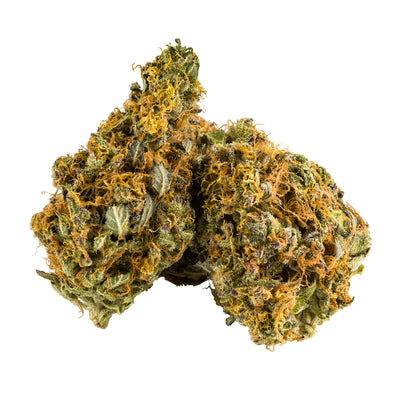 AURORA NANAS (H) DRIED - 1G