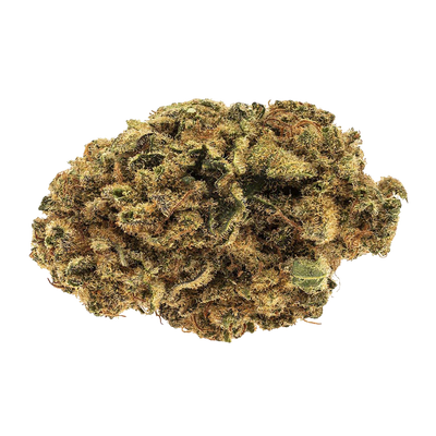 RIFF BLUE NINETY EIGHT (H) DRIED - 1G