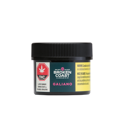 BROKEN COAST NORTHERN LIGHTS HAZE (GALIANO) (S) DRIED - 1G