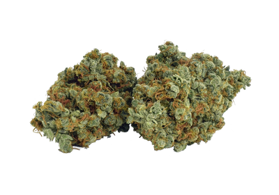 BROKEN COAST NORTHERN LIGHTS HAZE (GALIANO) (S) DRIED - 1G