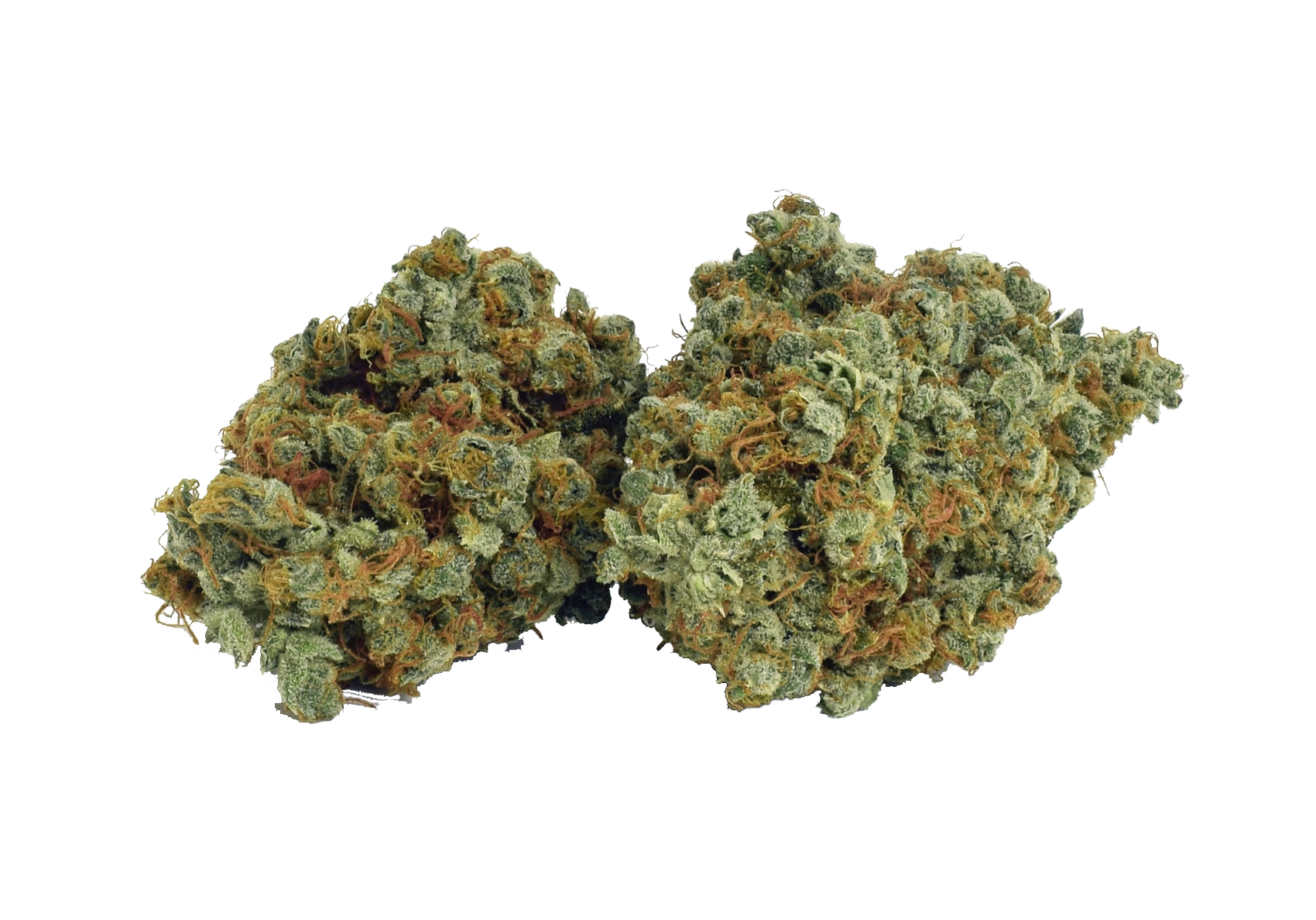 BROKEN COAST NORTHERN LIGHTS HAZE (GALIANO) (S) DRIED - 3.5G