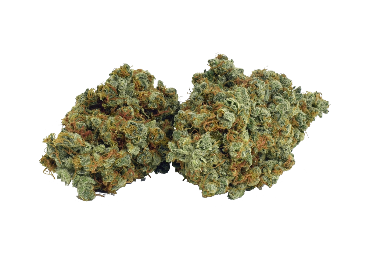 BROKEN COAST NORTHERN LIGHTS HAZE (GALIANO) (S) DRIED - 3.5G