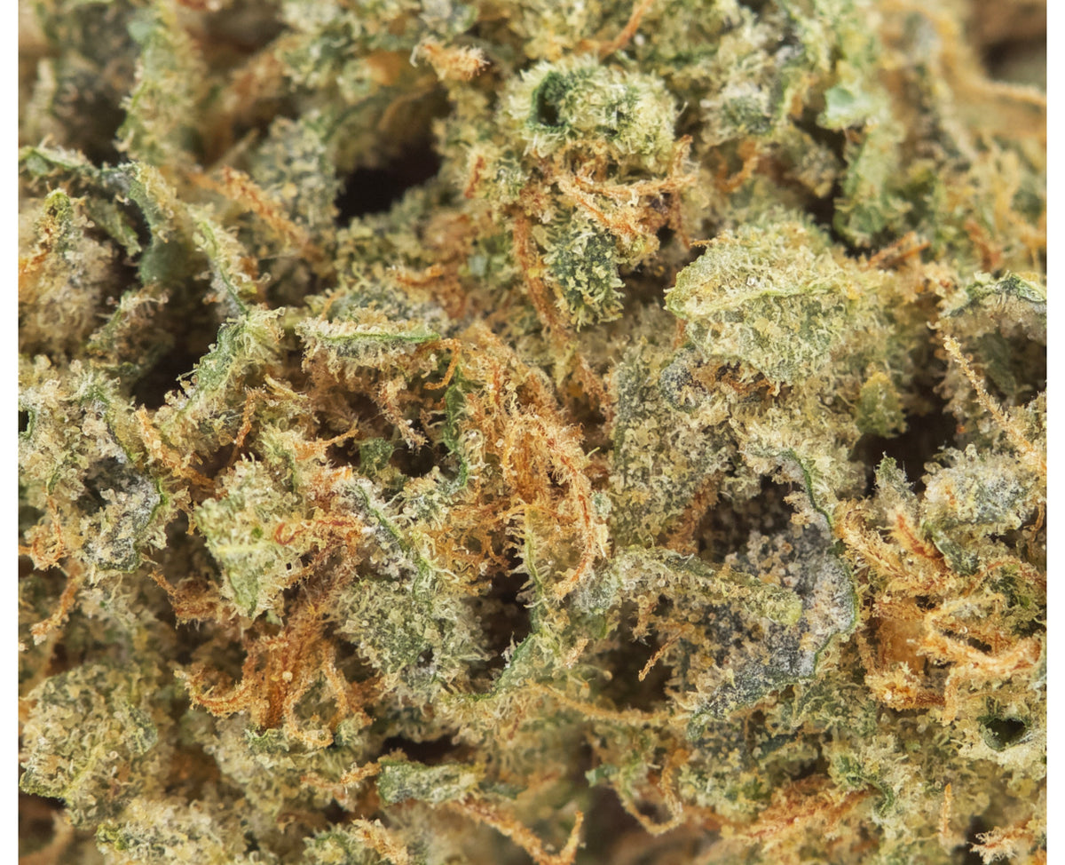 VERTICAL CANNABIS COLD CREEK KUSH (IND) DRIED - 3.5G