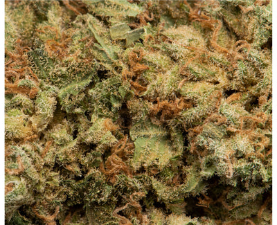 NAMASTE MK ULTRA (IND) DRIED - 3.5G