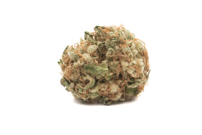 NAMASTE SENSI STAR (IND) DRIED - 1G