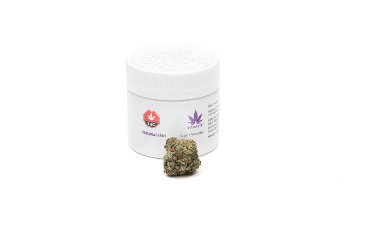 NAMASTE SHISHKABERRY (IND) DRIED - 1G