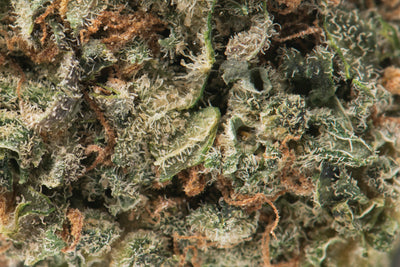 NAMASTE SHISHKABERRY (IND) DRIED - 3.5G