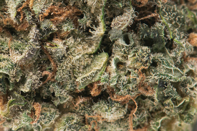 NAMASTE SHISHKABERRY (IND) DRIED - 3.5G