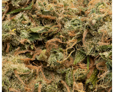 NAMASTE ULTRA SOUR (S) DRIED - 3.5G
