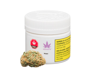 NAMASTE WAPPA (IND) DRIED - 1G