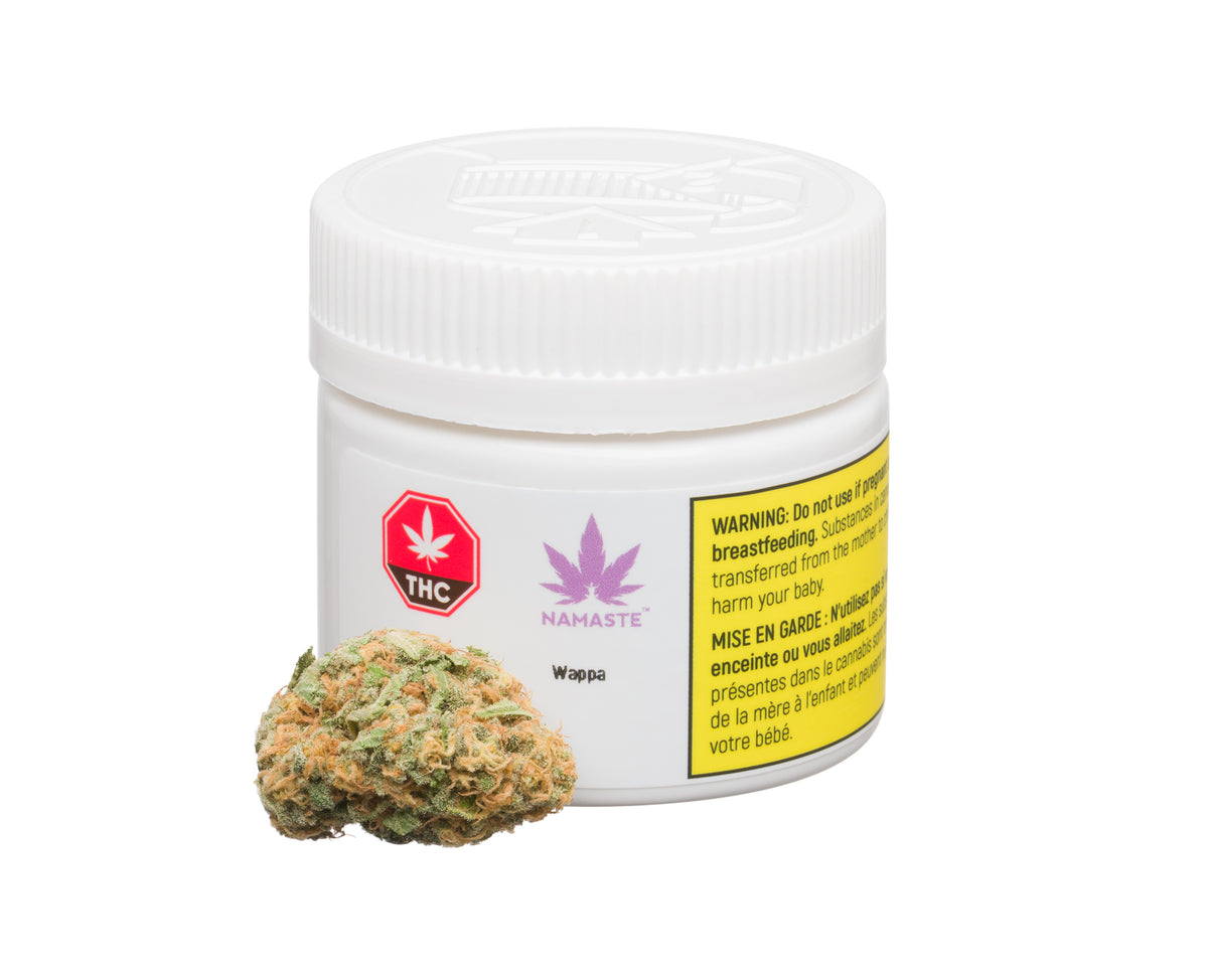 NAMASTE WAPPA (IND) DRIED - 1G