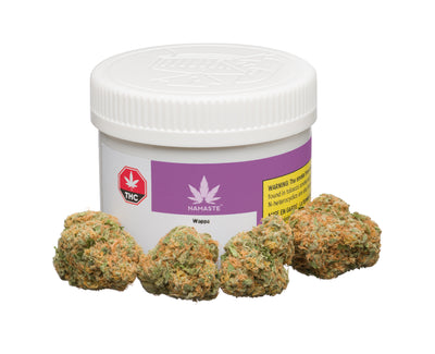 NAMASTE WAPPA (IND) DRIED - 7G