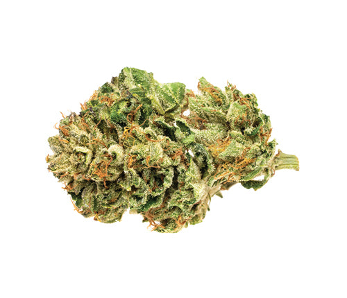 SOLEI UNPLUG (IND) DRIED - 3.5G