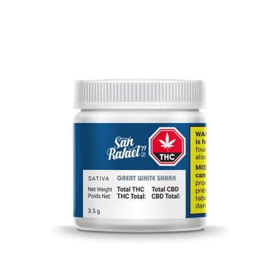 SAN RAFAEL 71 GREAT WHITE SHARK (S) DRIED - 3.5G