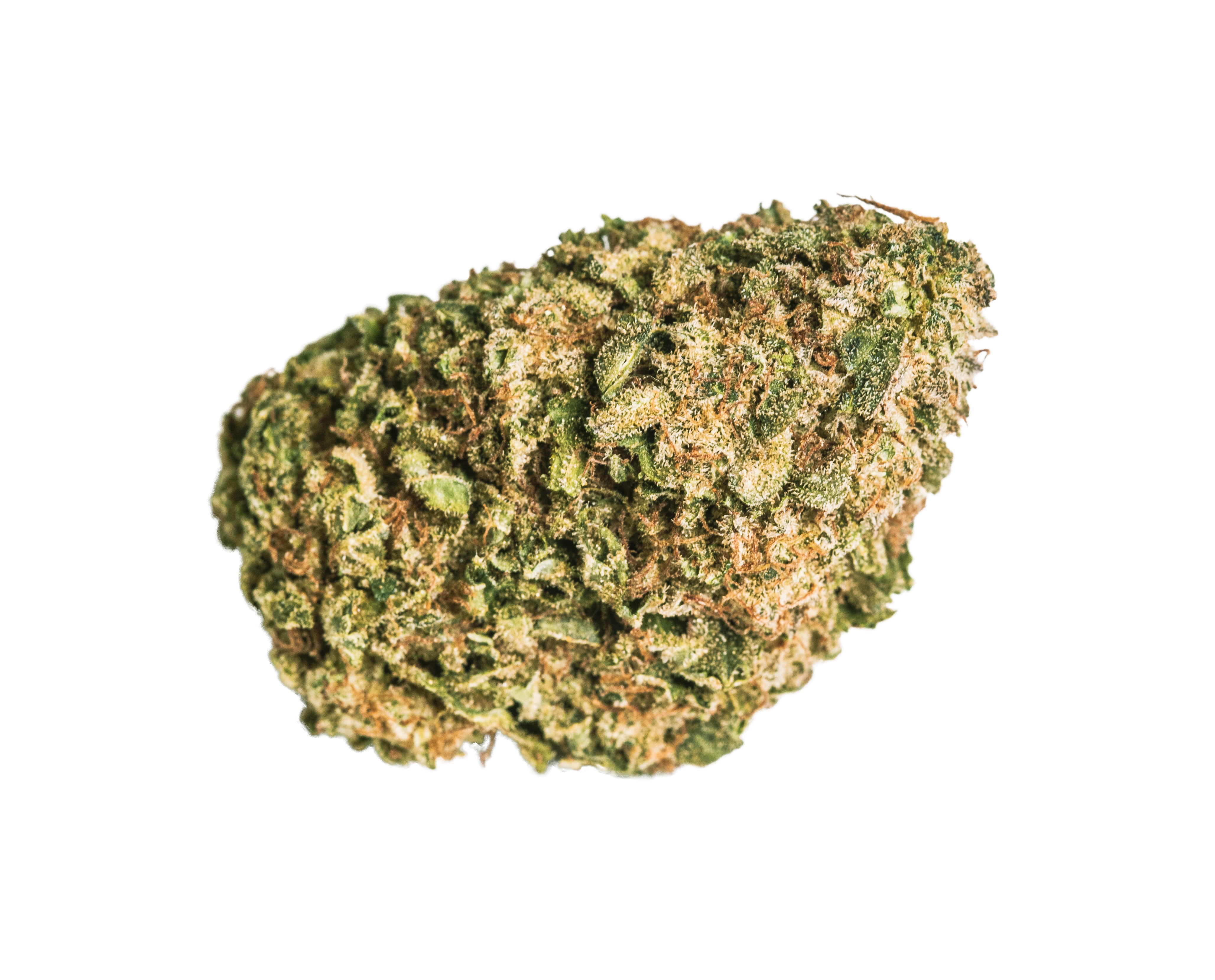 HIGH TIDE AMNESIA HAZE (S) DRIED - 3.5G