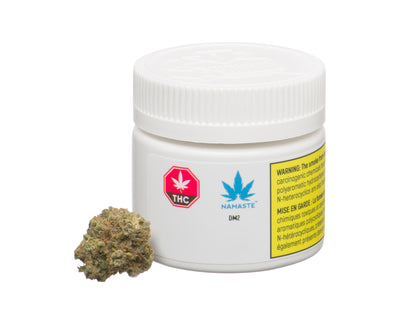 NAMASTE DURGA MATA 2 (H) DRIED - 1G