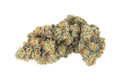 BROKEN COAST FROST MONSTER (GABRIOLA) (H) DRIED - 1G