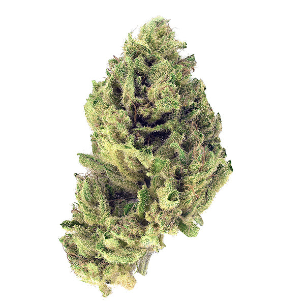 TANTALUS LABS CANNATONIC (H) DRIED - 3.5G