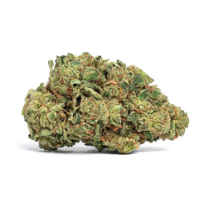 SYNR.G PINK GRAPEFRUIT HAZE (S) DRIED - 3.5G