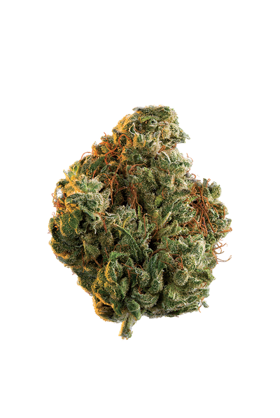 EDISON RIO BRAVO (S) DRIED - 7G