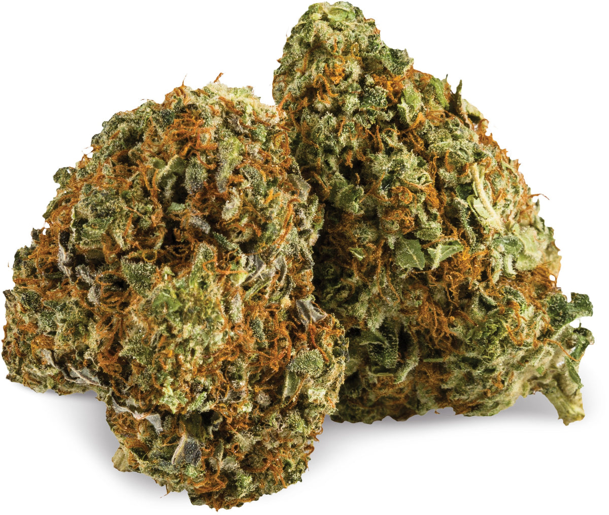 AURORA LA CONFIDENTIAL (IND) DRIED - 1G