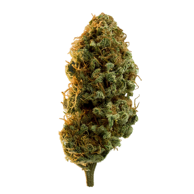 EDISON EL DORADO (H) DRIED - 3.5G