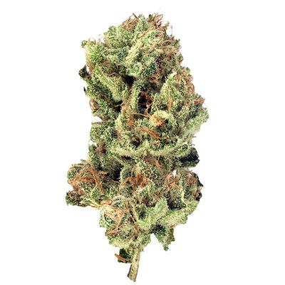 TANTALUS LABS SERRATUS (IND) DRIED - 3.5G