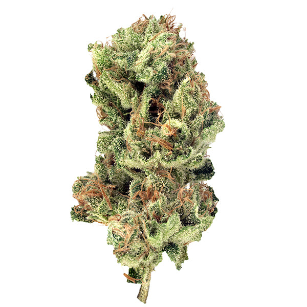 TANTALUS LABS SERRATUS (IND) DRIED - 3.5G