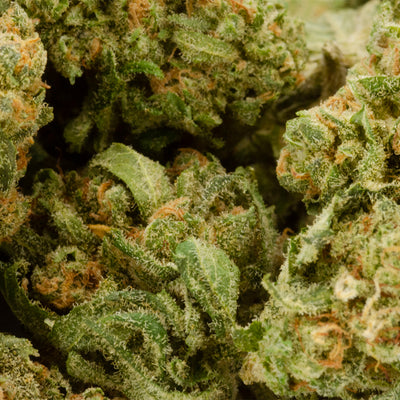 HEXO HELIOS FLOWER (S) DRIED - 3.5G