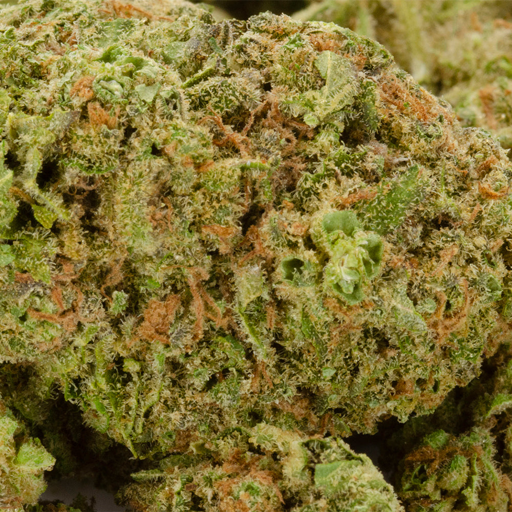 HEXO LAGOON FLOWER (IND) DRIED - 3.5G