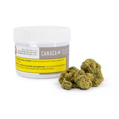 CANACA SELECT HASHPLANT (H) DRIED - 3.5G