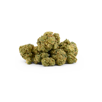 CANACA SELECT HASHPLANT (H) DRIED - 3.5G