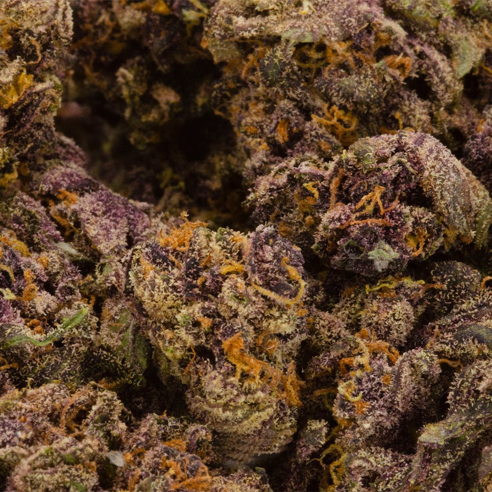 HEXO BAYOU FLOWER (IND) DRIED - 3.5G