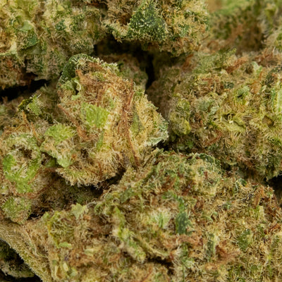 HEXO NEBULA FLOWER (IND) DRIED - 3.5G