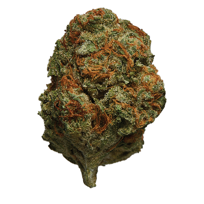 HEXO ATLANTIS FLOWER (H) DRIED - 3.5G