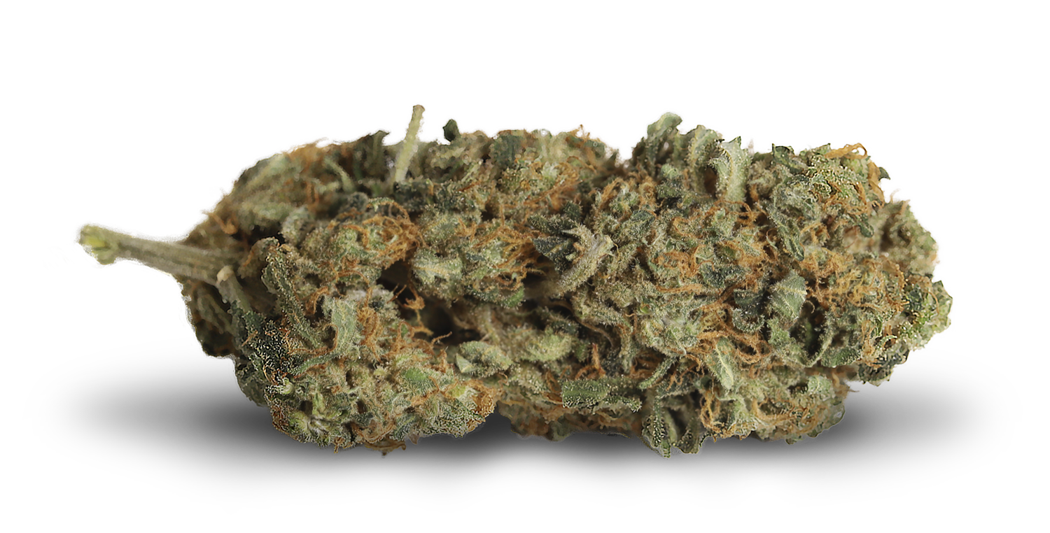 KIWI CANNABIS MANGO HAZE (S) DRIED - 3.5G