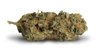 KIWI CANNABIS MANGO HAZE (S) DRIED - 3.5G