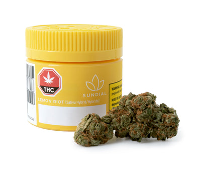 SUNDIAL LEMON RIOT (S) DRIED - 1G
