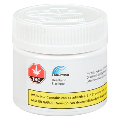 HIGH TIDE HEADBAND (H) DRIED - 3.5G