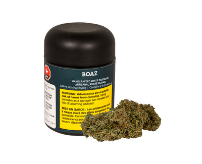 BOAZ WHITE RUSSIAN (H) DRIED - 3.5G