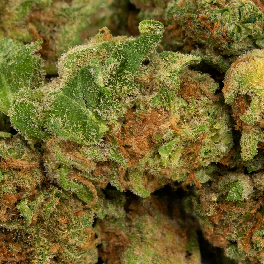 HEXO TSUNAMI (IND) DRIED - 3.5G