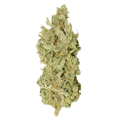TANTALUS LABS SKY PILOT (H) DRIED - 3.5G